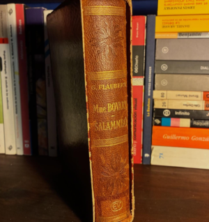 Gustave Flaubert - Madame Bovary y Salammbó